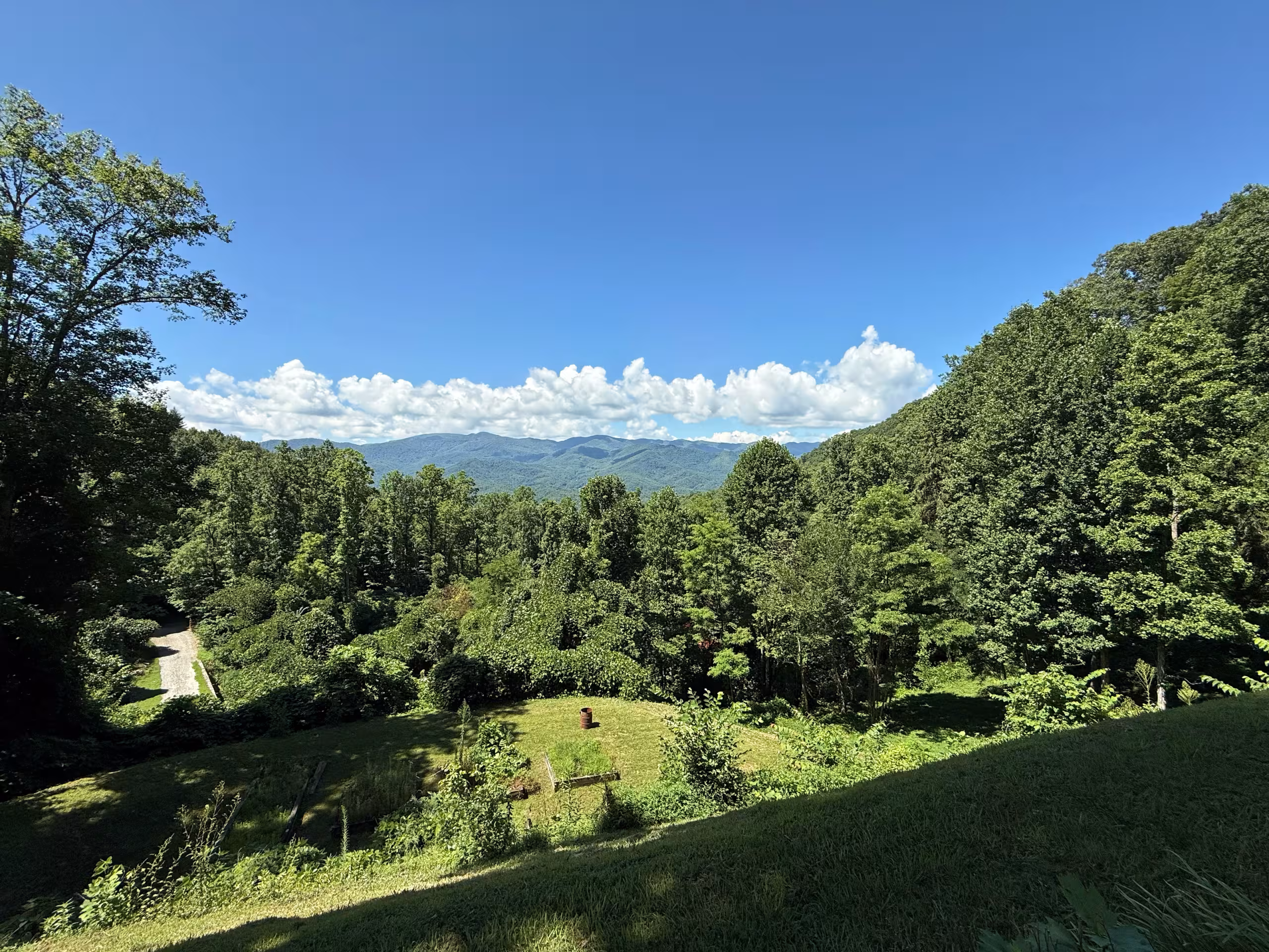 A July afternoon from the lodge: forest falling away to the valley, a line of white cloud and the ridges of the Smokies beyond